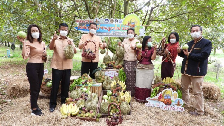 ศรีสะเกษเตรียมจัดงานเทศกาลทุเรียนดินภูเขาไฟ 9-15 มิ.ย.(มีคลิป)