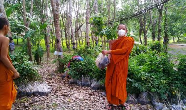 ชวนชาวน่านร่วมสร้างพื้นที่สีเขียว  รับกล้าไม้ฟรี โครงการปลูกป่าตามรอยพ่อ ปีที่ 3