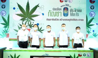 เดินหน้าต่อกัญชาเเก้เจ็บเเก้จน