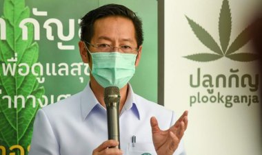 อย. เปิดตัวแอปฯ “ปลูกกัญ” จดแจ้งปลูกกัญชา ง่ายเพียงปลายนิ้ว