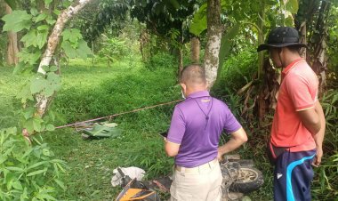 คนร้ายยิงหนุ่มใหญ่ ดับในสวนผลไม้ในพื้นที่บันนังสตา