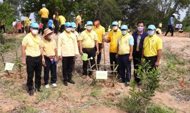 เทศบาลตำบลผือใหญ่ จัดโครงการปลูกป่าเฉลิมพระเกียรติ (ชมคลิป)