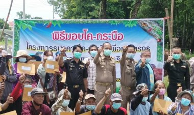 นายอำเภอขุนหาญ มอบโค กระบือ ตามโครงการธนาคารโค กระบือตามรอยพระราชดำริ