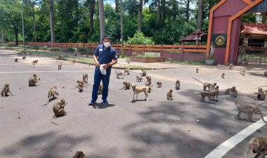 "เผชิญลาภ" นายกเทศมนตรีพนาเตือนประชาชนระวังโรคฝีดาษลิง