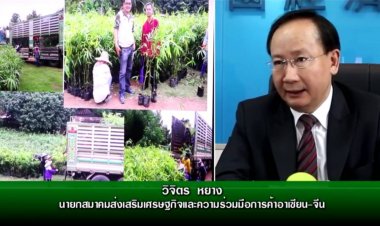 สมาคมฯการค้าอาเซียน-จีนหนุนนโยบายรัฐลดโลกร้อน 