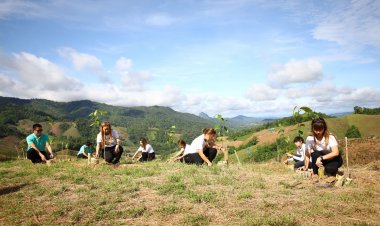 CP ร้ผนึก ภาครัฐ-ชุมชน ปลูกต้นไม้ ต้นน้ำ ปิง วัง ยม น่าน มุ่งฟื้นฟูพื้นที่สีเขียว