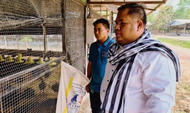 "อานนท์"ลั่นดันรัฐบาลหนุนเกษตรกรเลี้ยงไก่พันธุ์ไข่-ไก่พื้นบ้านสร้างรายได้มั่นคง