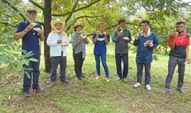 นทท.แห่ชิม ช้อป สวนทุเรียนอดีตนายกอบต.นาดีคึกคัก (ชมคลิป)