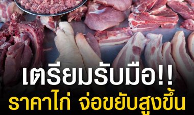 เตรียมรับมือ!! ราคาไก่ จ่อขยับสูงขึ้น ผลพวงจากวัตถุดิบอาหารสัตว์แพง