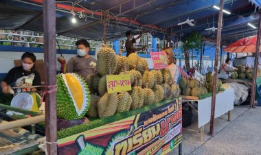 ห้ามพลาด!ชิมช้อปเทศกาลทุเรียนปราจีนบุรีกระตุ้นศก.-บูมเที่ยว (มีคลิป)