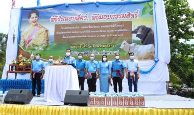 กันทรารมย์มอบกรรมสิทธิ์โครงการธนาคารโค-กระบือเพื่อเกษตรกร (มีคลิป)