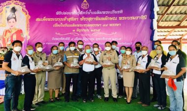 สมาคมกุ้งตะวันออกไทยปล่อยพันธุ์สัตว์น้ำเฉลิมพระเกียรติสมเด็จพระบรมราชินี