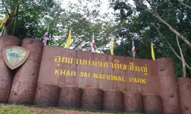 เขาใหญ่ ชี้แจงปม ปปช.ชี้มูล 'สุนทร-กนกวรรณ'คดีรุกป่า