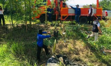 วัวตกหลุมลึกในคลอง 2 วันจึงหาเจอ อบต.รุดช่วยเหลือได้อย่างปลอดภัย