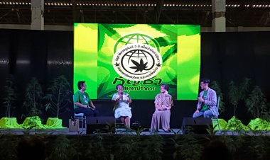 สีสันงานมหกรรมกัญชา คึกคักโชว์สินค้าแปรรูปตรงใจสายสีเขียว