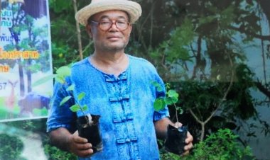 ดาบวิชัย เมืองศรีสะเกษปลูกต้นไม้ 3ล้านต้น จริงหรือไม่?