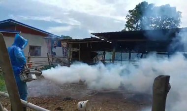 ชัยภูมิผวาโรคลัมปีสกินระบาดพบวัวตายแล้ว 65 ตัว(มีคลิป)