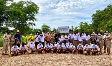 ปลูกสวนป่าต้นมะเกลือเฉลิมพระเกียรติสมเด็จพระนางเจ้าฯพระบรมราชินี “เลิศ - พิลา รุ้งแก้ว”