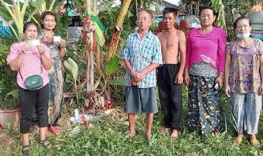 แห่ส่องเลขเด็ด!  ต้นกล้วยแปลกออกลูกกลางต้น