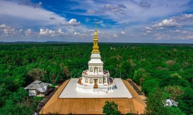 อันเชิญพระพุทธรูปปางนาคปรกขึ้นประดิษฐานที่องค์มหาเจดีย์"หลวงปู่แสง ญาณวโร"