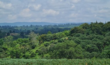 ชาววังน้ำเขียวรุมสับคลิปฉาว Only fan ทำลายชื่อเสียงแหล่งเที่ยวโคราช