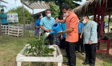 ผู้ว่าฯลพบุรีนำคณะพช.โคกหนองนาลพบุรี ร่วมใจปลูกต้นไม้ 9,990 ต้น เฉลิมพระเกียรติ สมเด็จพระนางเจ้าสิริกิติ์