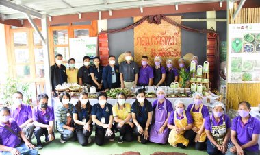 วช. ผลักดัน"ต้นดีหมี"หมี พืชธรรมชาติของวิสาหกิจชุมชนจ.เลยสู่ตลาดดิจิทัล