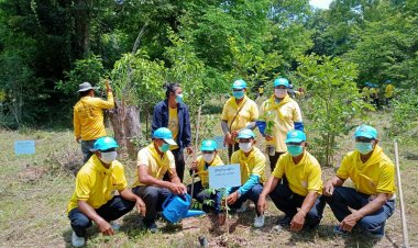 โพธิ์ศรีสุวรรณ นำจิตอาสา ปลูกต้นไม้ ตามโครงการรักน้ำ รักป่า รักแผ่นดิน