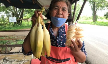ต้นทุนพุ่ง-ข้าวโพดแปดแถวกบินทร์บุรียอดขายแรงปลุกเศรษฐกิจริมทางคึก