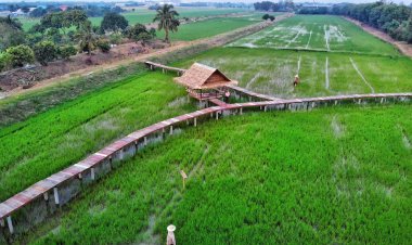 ปทุมธานีเปิดเส้นทาง One Day Trip เที่ยวชิลล์ กินคุ้มครบทุกสไตล์