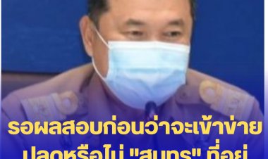 ปลัดมท.เผย ต้องรอผลสอบก่อนว่าจะเข้าข่ายปลดพ้นนายกฯอบจ.หรือไม่ "สุนทร" ที่อยู่ระหว่างหลบหนีคดีรุกอุทยาน