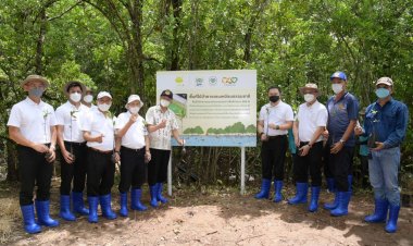 CP-CPF รวมพลังฟื้นฟูป่าชายเลน เพิ่มความหลากหลายทางชีวภาพ -ส่งเสริมคุณภาพชีวิตชุมชน