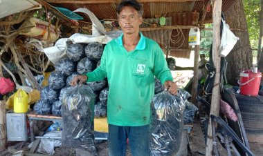 แพงยันถ่าน!พ่อค้าเผาถ่านขยับราคาอีก 5 บาทอ้างสู้น้ำมันแพงไม่ไหว (มีคลิป)