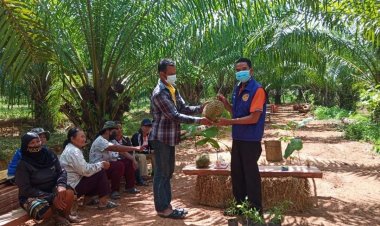 ภูสิงห์ ประกอบกิจกรรม สมานสามัคคี"ปลูกหอมแดง"เพื่อเก็บพันธุ์