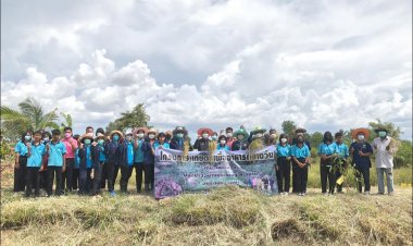 สระแก้ว - สพป.สระแก้วเขต 2  จัดกิจกรรม "เกี่ยวข้าวเพื่อน้อง" ที่สวนเกษตรโรงเรียนบ้านโคกไพล