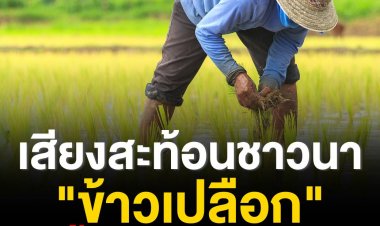 เสียงสะท้อนจากชาวนา ข้าวเปลือกขอขึ้นราคาบ้างได้ไหม?