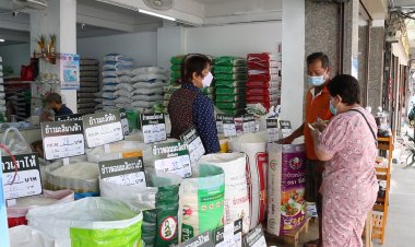 คนขอนแก่นทำใจข้าวถุง5กก.อขึ้น 30 บาทแม้แพงก็ต้องซื้อเหตุกินทุกวัน