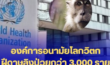 องค์การอนามัยโลกวิตก ฝีดาษลิงป่วยกว่า 3,000 ราย ใน 50 ประเทศ ดับแล้ว 1