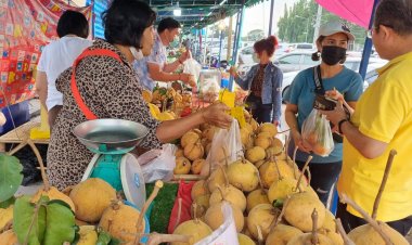 นทท.แห่ชิมช้อป"งานกระท้อนหวานและผลไม้ดีปราจีนฯ"ยอดขายพุ่งกระฉูด