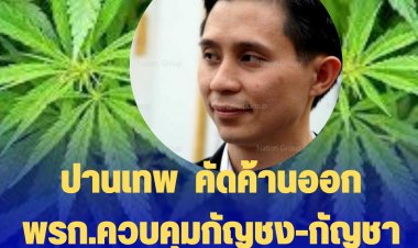 ปานเทพ  คัดค้านการออกพระราชกำหนดควบคุม กัญชง-กัญชา ในช่วงสุญญากาศ