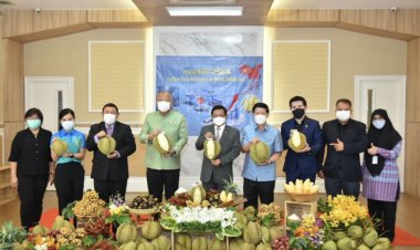 ฟรุ้ทบอร์ดยุค”รัฐมนตรีเฉลิมชัย”โชว์ผลงานส่งออกทุเรียน 5 เดือน ทะลุ 5 แสนตัน