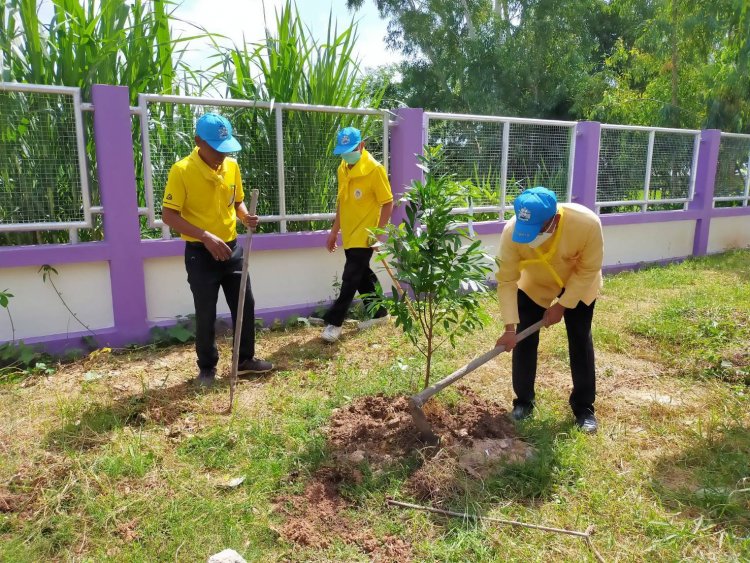 โพธิ์ศรีสุวรรณ นำจิตอาสาพระราชทานอำเภอโพธิ์ศรีสุวรรณ ปลูกต้นไม้และปรับปรุงภูมิทัศน์