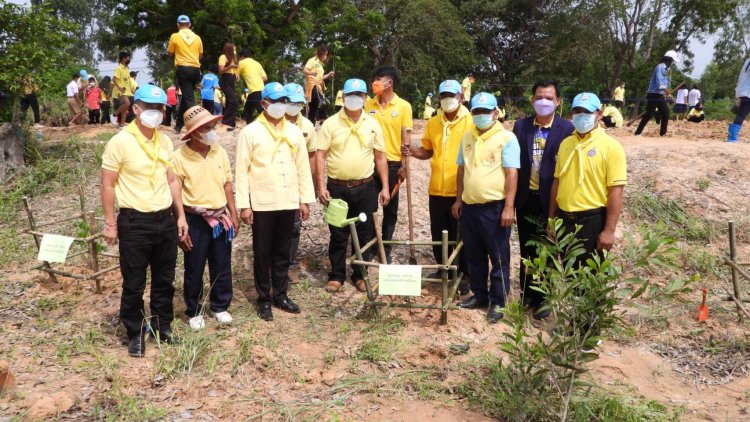 เทศบาลตำบลผือใหญ่ จัดโครงการปลูกป่าเฉลิมพระเกียรติ (ชมคลิป)