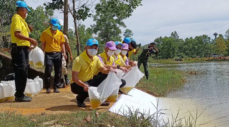 อำเภอสุไหงปาดีร่วมบำเพ็ญสาธารณะประโยชน์เฉลิมพระเกียรติพระราชินี