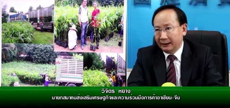 สมาคมฯการค้าอาเซียน-จีนหนุนนโยบายรัฐลดโลกร้อน