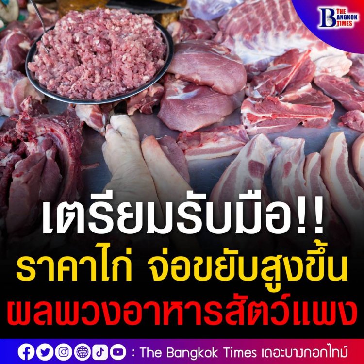 เตรียมรับมือ!! ราคาไก่ จ่อขยับสูงขึ้น ผลพวงจากวัตถุดิบอาหารสัตว์แพง