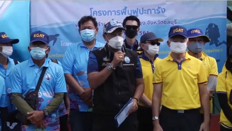 กฟผ.จับมือเมืองพัทยา-ทช.วางปะการังเทียมฟื้นฟูทรัพยากรทางทะเล