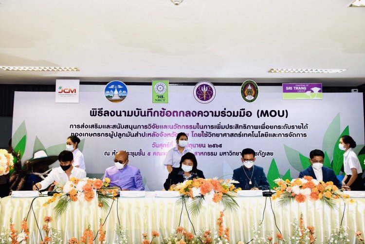 วช. จับมือ 4 หน่วยงาน ลงนาม MOU ดัน มันสำปะหลัง สู่ตลาดโลก