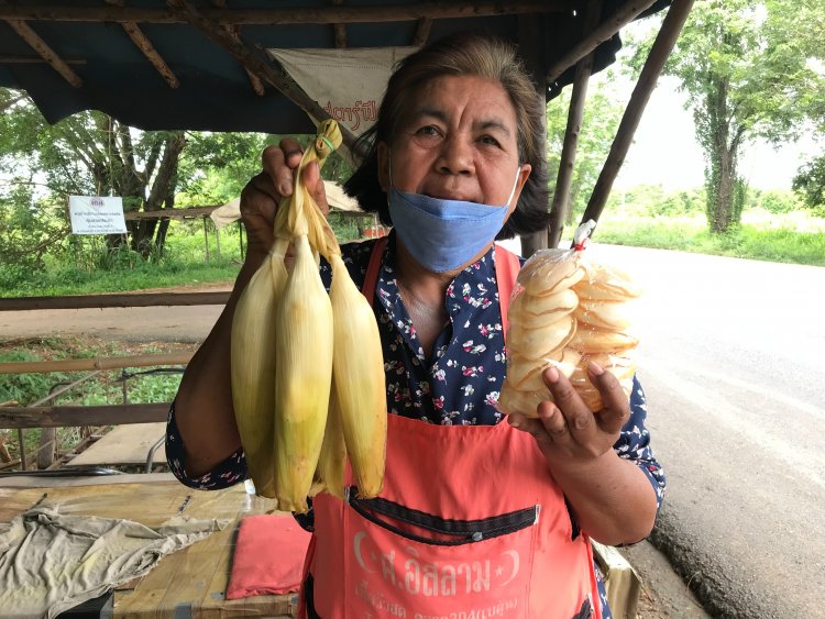 ต้นทุนพุ่ง-ข้าวโพดแปดแถวกบินทร์บุรียอดขายแรงปลุกเศรษฐกิจริมทางคึก