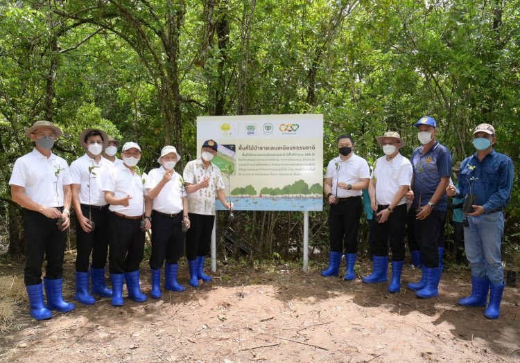 CP-CPF รวมพลังฟื้นฟูป่าชายเลน เพิ่มความหลากหลายทางชีวภาพ -ส่งเสริมคุณภาพชีวิตชุมชน